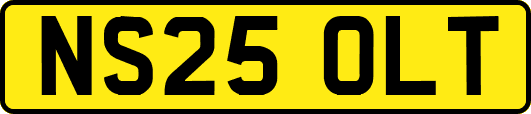 NS25OLT