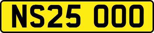 NS25OOO