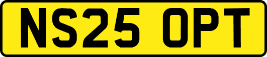 NS25OPT
