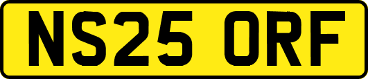 NS25ORF