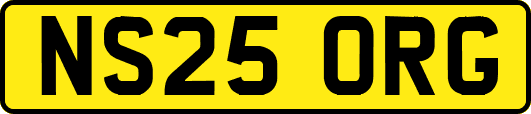 NS25ORG