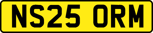 NS25ORM