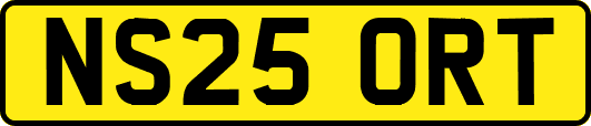 NS25ORT