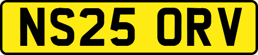 NS25ORV