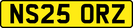 NS25ORZ