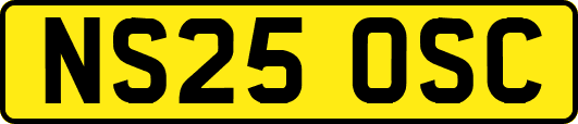 NS25OSC