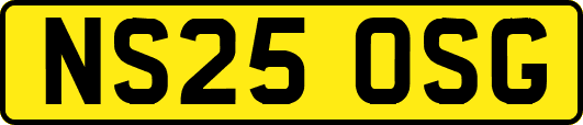 NS25OSG