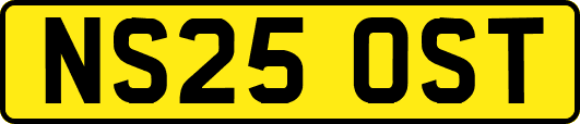 NS25OST