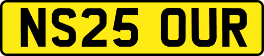 NS25OUR