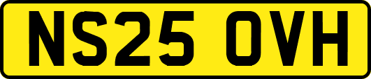 NS25OVH