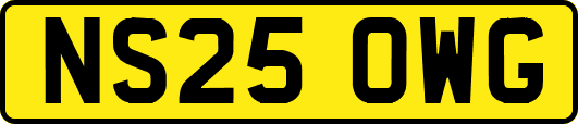 NS25OWG