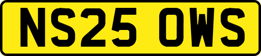 NS25OWS