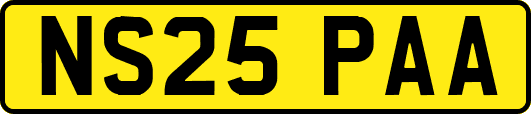 NS25PAA