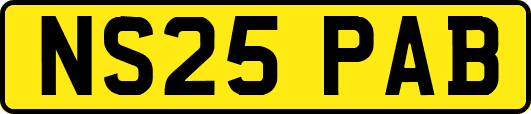 NS25PAB