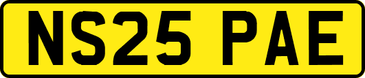 NS25PAE