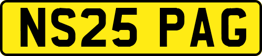 NS25PAG