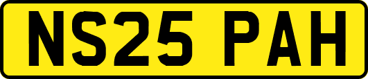 NS25PAH