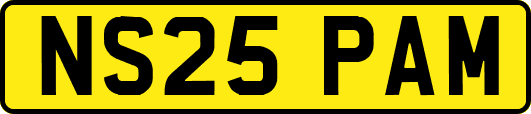 NS25PAM