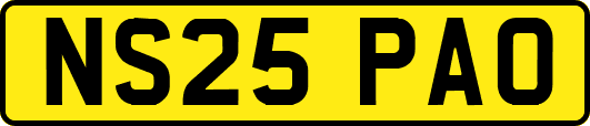 NS25PAO