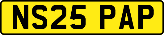 NS25PAP