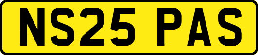 NS25PAS