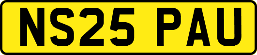 NS25PAU