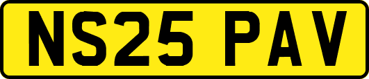 NS25PAV