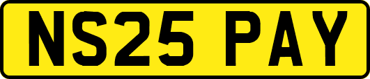 NS25PAY