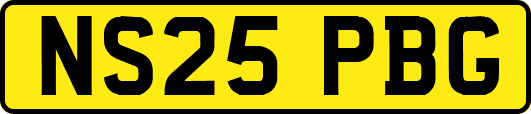 NS25PBG
