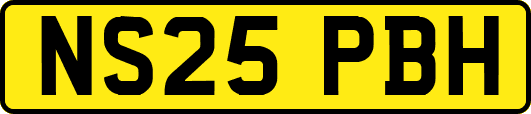 NS25PBH