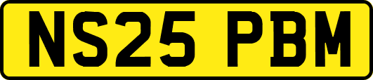 NS25PBM