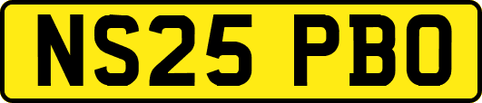 NS25PBO