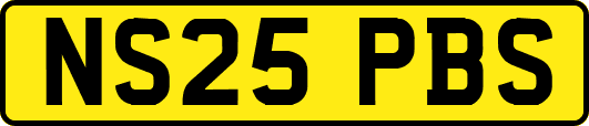 NS25PBS
