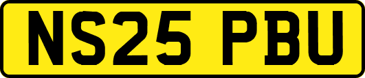 NS25PBU
