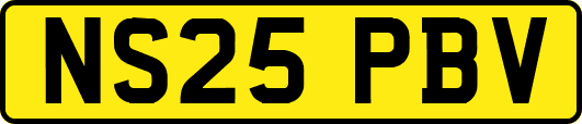NS25PBV