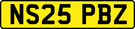 NS25PBZ
