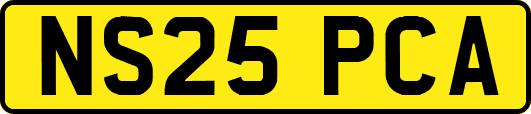 NS25PCA
