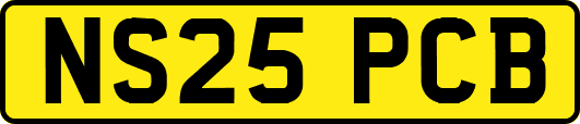 NS25PCB