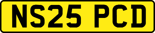 NS25PCD