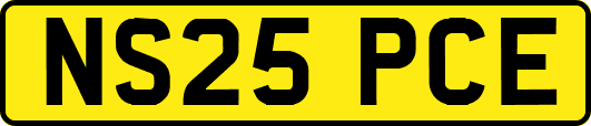 NS25PCE