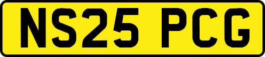 NS25PCG