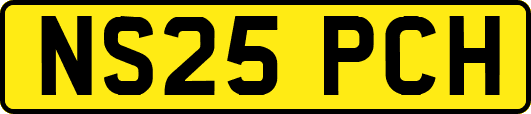NS25PCH