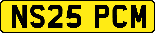 NS25PCM