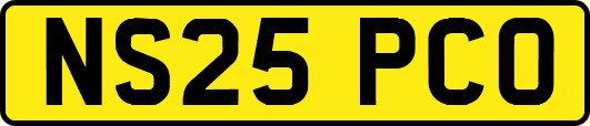 NS25PCO