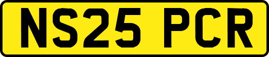 NS25PCR