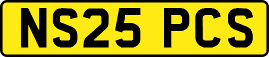 NS25PCS