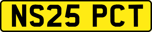 NS25PCT