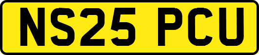 NS25PCU