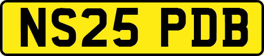 NS25PDB