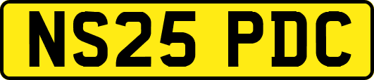 NS25PDC